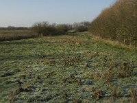 NL, Noord-Brabant, Land van Cuijk, Beerse Overlaat 12, Saxifraga-Jan van der Straaten