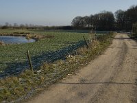 NL, Noord-Brabant, Land van Cuijk, Beerse Overlaat 17, Saxifraga-Jan van der Straaten