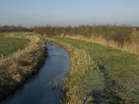 NL, Noord-Brabant, Land van Cuijk, Beerse Overlaat 21, Saxifraga-Jan van der Straaten