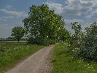 NL, Noord-Brabant, Land van Cuijk, De Vilt 2, Saxifraga-Jan van der Straaten