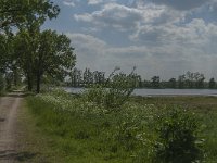 NL, Noord-Brabant, Land van Cuijk, De Vilt 5, Saxifraga-Jan van der Straaten