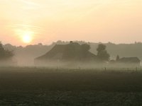 NL, Noord-Brabant, Land van Cuijk, Escharen 4, Saxifraga-Hans Boll