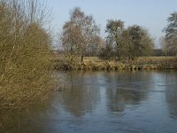 NL, Noord-Brabant, Land van Cuijk, Graafsche Raam 6, Saxifraga-Jan van der Straaten