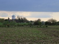 NL, Noord-Brabant, Land van Cuijk, Land van Cuijksche Veld 1, Saxifraga-Hans Boll