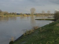 NL, Noord-Brabant, Land van Cuijk, Maas 11, Saxifraga-Jan van der Straaten