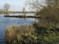 NL, Noord-Brabant, Land van Cuijk, Maas 4, Saxifraga-Jan van der Straaten