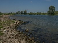 NL, Noord-Brabant, Land van Cuijk, Maas 6, Saxifraga-Jan van der Straaten