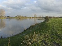 NL, Noord-Brabant, Land van Cuijk, Maas 7, Saxifraga-Jan van der Straaten (2)