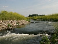 NL, Noord-Brabant, Land van Cuijk, Maasbrug 3, Saxifraga-Hans Boll