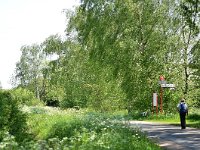 NL, Noord-Brabant, Land van Cuijk, Maasheggen 1, Saxifraga-Tom Heijnen