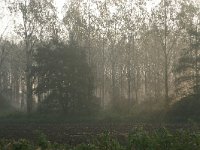 NL, Noord-Brabant, Land van Cuijk, Mill 1, Saxifraga-Hans Boll