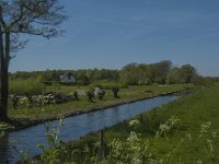 NL, Noord-Brabant, Land van Cuijk, Molenbeek 2, Saxifraga-Marijke Verhagen