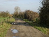 NL, Noord-Brabant, Land van Cuijk, Oeffelter Meent 10, Saxifraga-Jan van der Straaten