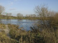 NL, Noord-Brabant, Land van Cuijk, Oeffelter Meent 12, Saxifraga-Jan van der Straaten