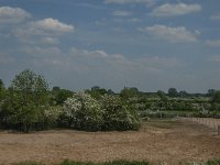 NL, Noord-Brabant, Land van Cuijk, Oeffelter Meent 31, Saxifraga-Jan van der Straaten