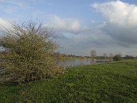 NL, Noord-Brabant, Land van Cuijk, Oeffelter Meent 41, Saxifraga-Jan van der Straaten