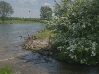 NL, Noord-Brabant, Land van Cuijk, Oeffeltsche Raam 10, Saxifraga-Jan van der Straaten