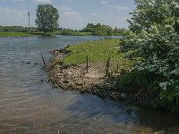 NL, Noord-Brabant, Land van Cuijk, Oeffeltsche Raam 11, Saxifraga-Jan van der Straaten