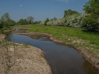 NL, Noord-Brabant, Land van Cuijk, Oeffeltsche Raam 4, Saxifraga-Jan van der Straaten