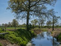 NL, Noord-Brabant, Land van Cuijk, St Jansbeek 3, Saxifraga-Marijke Verhagen