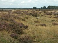 NL, Noord-Brabant, Land van Cuijk, Ullingse Bergen 2, Saxifraga-Jaap Bouwman : stuizand2