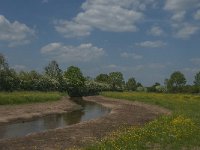 NL, Noord-Brabant, Land van Cuijk, Viltsche Graaf 3, Saxifraga-Jan van der Straaten