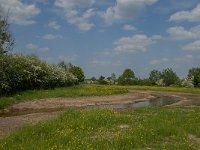 NL, Noord-Brabant, Land van Cuijk, Viltsche Graaf 4, Saxifraga-Jan van der Straaten