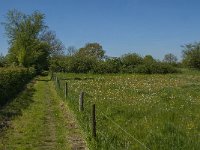 NL, Noord-Brabant, Land van Cuijk, Zoetepasweiden 11, Saxifraga-Jan van der Straaten