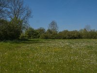 NL, Noord-Brabant, Land van Cuijk, Zoetepasweiden 16, Saxifraga-Jan van der Straaten