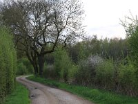 NL, Noord-Brabant, Land van Cuijk, Zoetepasweiden 27, Saxifraga-Hans Boll