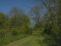 NL, Noord-Brabant, Land van Cuijk, Zoetepasweiden 6, Saxifraga-Jan van der Straaten