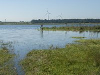 NL, Noord-Brabant, Loon op Zand, Huis ter Heide 10, Saxifraga-Willem van Kruijsbergen