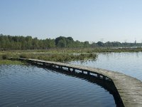 NL, Noord-Brabant, Loon op Zand, Huis ter Heide 16, Saxifraga-Willem van Kruijsbergen