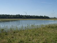 NL, Noord-Brabant, Loon op Zand, Huis ter Heide 22, Saxifraga-Willem van Kruijsbergen