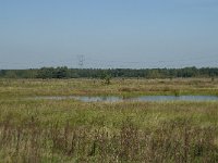 NL, Noord-Brabant, Loon op Zand, Huis ter Heide 26, Saxifraga-Willem van Kruijsbergen