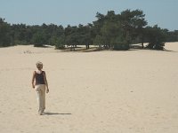 NL, Noord-Brabant, Loon op Zand, Loonse en Drunense Duinen 3, Saxifraga-Marijke Verhagen