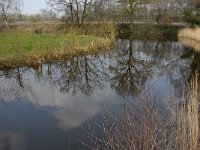 NL, Noord-Brabant, Meierijstad, Bobbenagelse Brug 12, old meander, Saxifraga-Jan van der Straaten