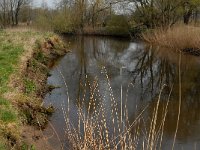 NL, Noord-Brabant, Meierijstad, Bobbenagelse Brug 3, Saxifraga-Jan van der Straaten