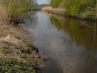 NL, Noord-Brabant, Meierijstad, Bobbenagelse Brug 5, Saxifraga-Jan van der Straaten