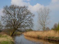 NL, Noord-Brabant, Meierijstad, Bobbenagelse Brug 7, Saxifraga-Jan van der Straaten