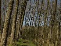 NL, Noord-Brabant, Meierijstad, De Prekers 5, Saxifraga-Jan van der Straaten