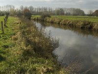 NL, Noord-Brabant, Meierijstad, Laageinde, Dommel 1, Saxifraga-Jan van der Straaten