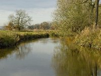 NL, Noord-Brabant, Meierijstad, Laageinde, Dommel 10, Saxifraga-Jan van der Straaten