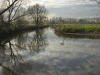 NL, Noord-Brabant, Meierijstad, Laageinde, Dommel 7, Saxifraga-Jan van der Straaten