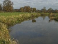 NL, Noord-Brabant, Meierijstad, Nijnsel, Dommel 6, Saxifraga-Jan van der Straaten