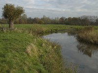 NL, Noord-Brabant, Meierijstad, Nijnsel, Dommel 8, Saxifraga-Jan van der Straaten