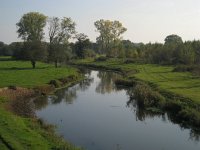 NL, Noord-Brabant, Meierijstad, Nijnsel, Dommelbeemden 10, Saxifraga-Henk Sierdsema