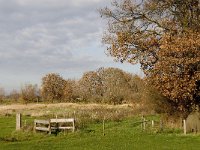 NL, Noord-Brabant, Meierijstad, Nijnsel, Dommelbeemden 23, Saxifraga-Jan van der Straaten