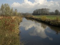 NL, Noord-Brabant, Meierijstad, Olland, Dommel 3, Saxifraga-Jan van der Straaten