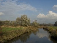 NL, Noord-Brabant, Meierijstad, Olland, Dommel 4, Saxifraga-Jan van der Straaten